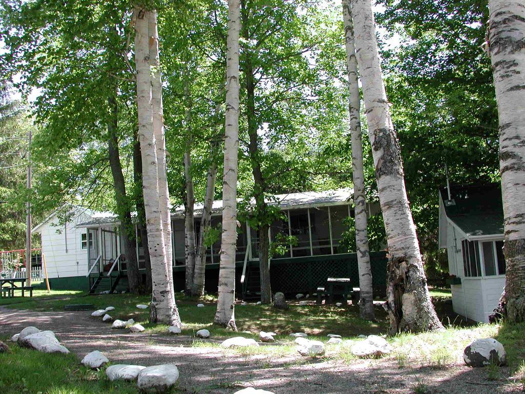 Birch Cliff Lodge On Baptiste Lake Highland Grove Стая снимка